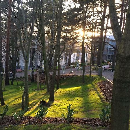 Apartament 15 Daire Gdynia Dış mekan fotoğraf